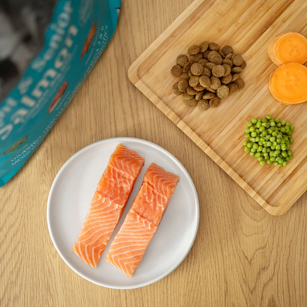 salmon-light.webp