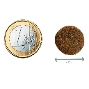 CREOQUETA REGULAR MEDIDA_2.webp
