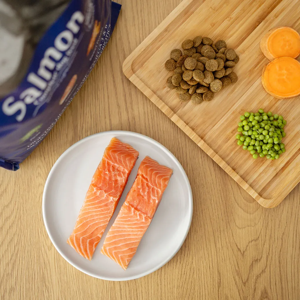 salmon2.webp