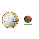 CREOQUETA SMALL MEDIDA_2.webp
