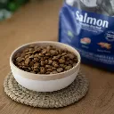 salmon1.webp