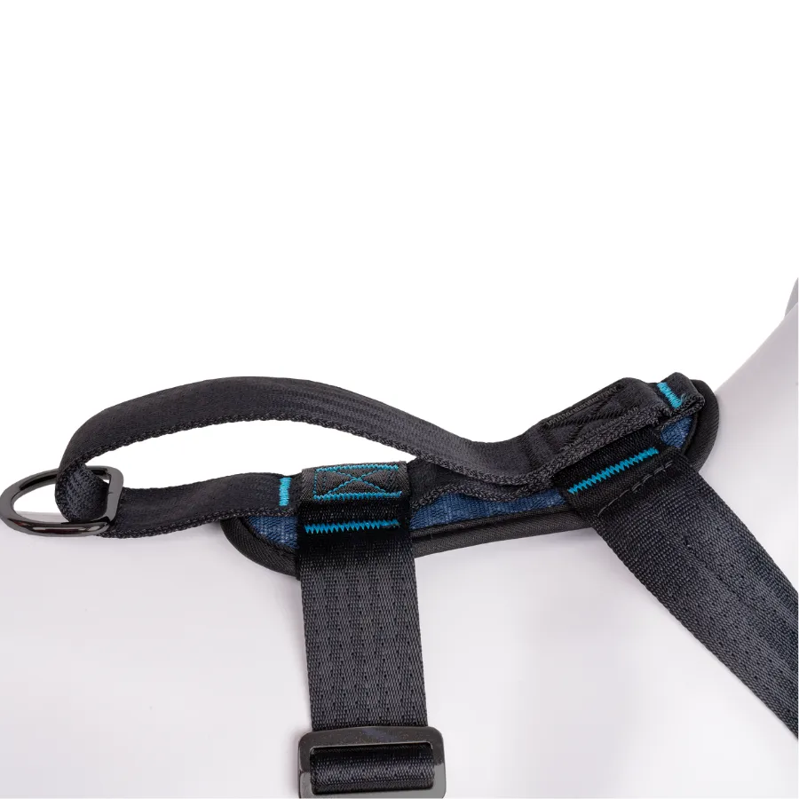 4 CarSafe Crash Tested Harness back panel seat belt loop.webp