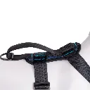 4 CarSafe Crash Tested Harness back panel seat belt loop.webp