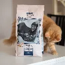 gatito2-548445.webp