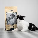gato12-555574.webp