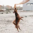 FLY_2.webp