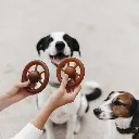 WHEEL_1.webp