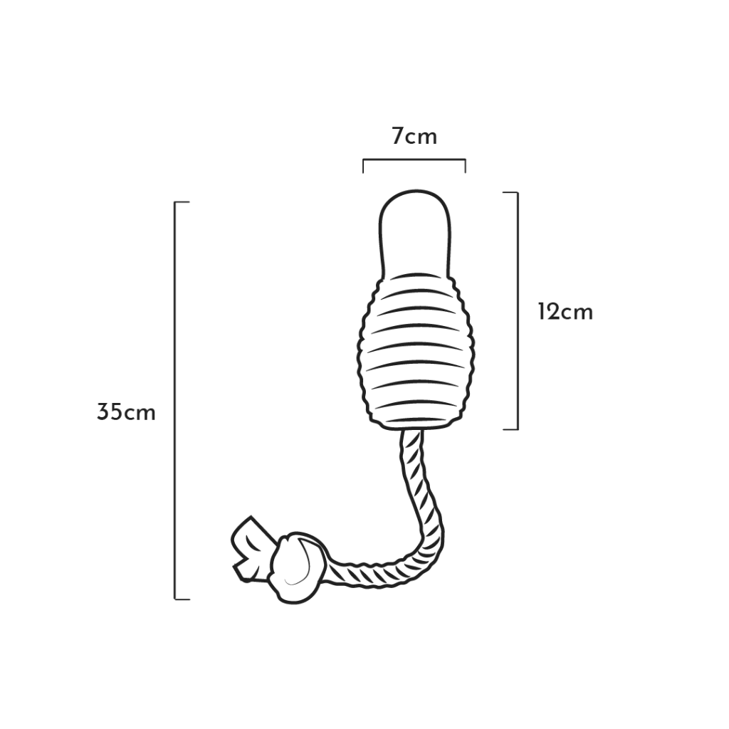 BOUNCY-ROPE_S.webp