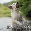 BALL_5.webp