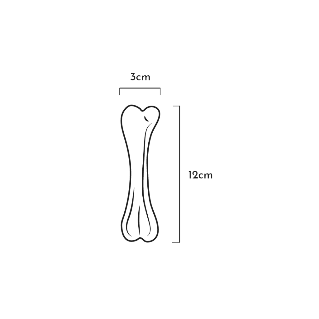 BONE_S.webp