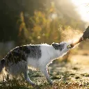 BITE_1.webp