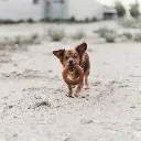 BITE_5.webp