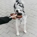BITE_6.webp