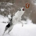 BITE_3.webp