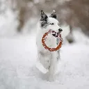BITE_2.webp