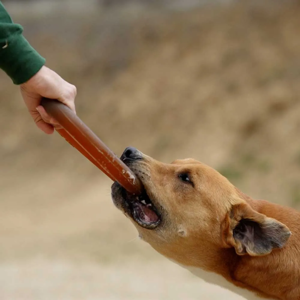 BITE.webp