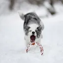 BITE_4.webp