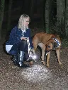 DOG-e-LITE_07.webp
