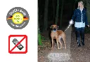 Mujer paseando.webp