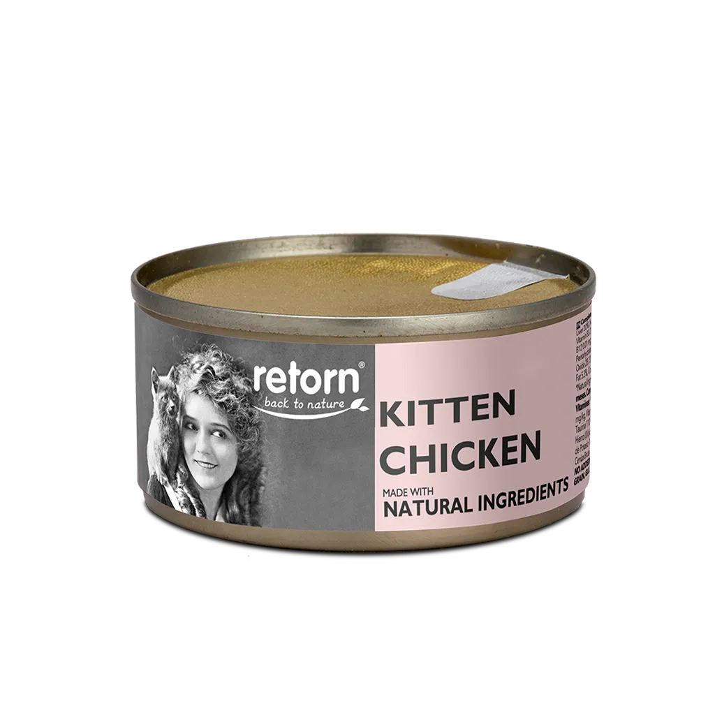 RETORN-KITTEN.webp