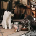 Latas-para-gatos-de-atun-con-sardina-de-Retorn3-122858.webp