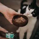Latas-para-gatos-de-atun-con-gambas-de-Retorn3-995352.webp