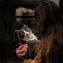 CAT-BRUSH-LIFESTYLE-209124.webp
