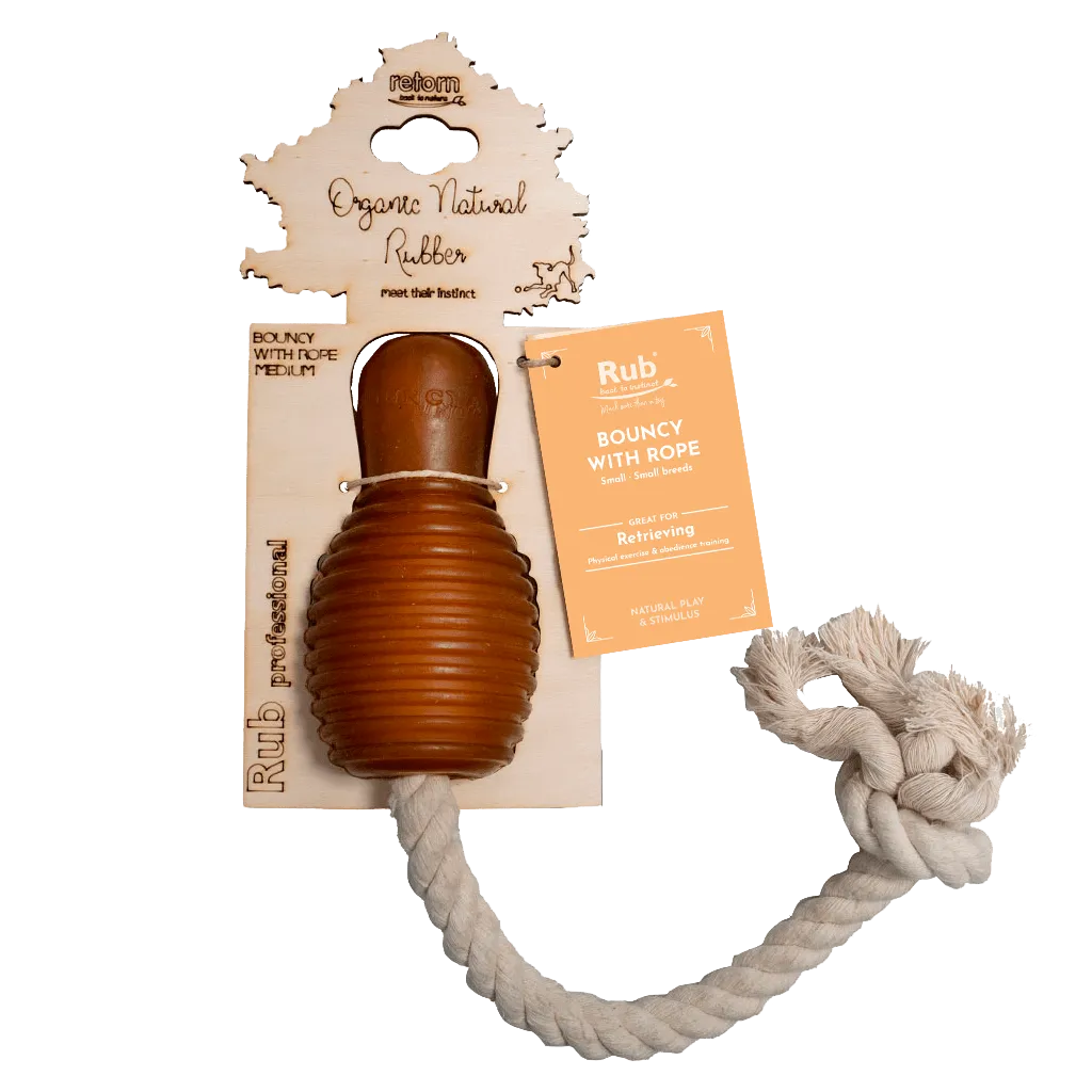 BOUNCY-ROPE_M-426455.webp