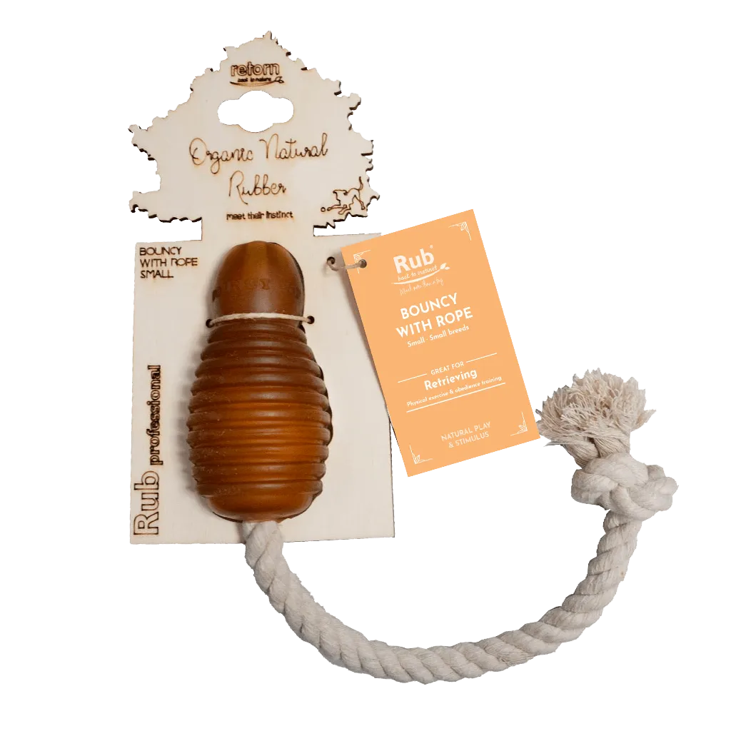 BOUNCY-ROPE_S-463107.webp