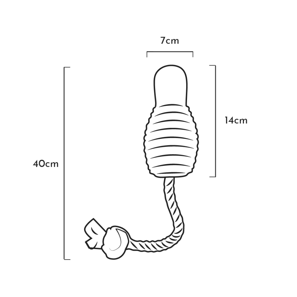 BOUNCY-ROPE_M_a7ce2171-8406-4bc3-9368-d50e0d8313b9-980785.webp