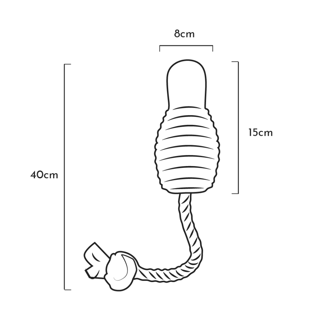 BOUNCY-ROPE_L_d71f599d-9c6d-49fc-acad-103af4e4f7ff-209656.webp