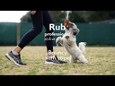 youtube - [Video]