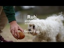 youtube - [Video]