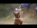 youtube - [Video]