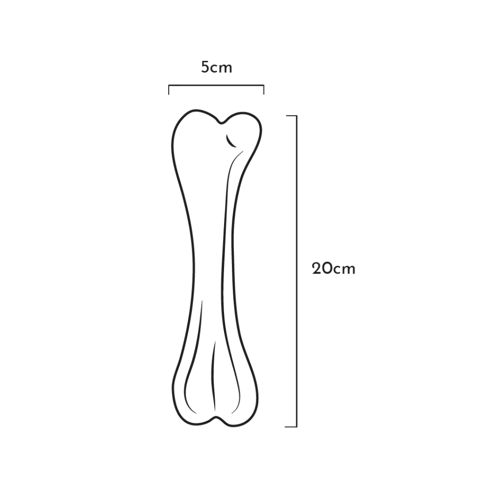 BONE_L-430791.webp