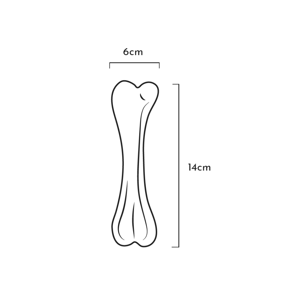 BONE_M-201613.webp
