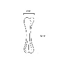 BONE_M-201613.webp