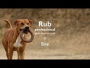 youtube - [Video]