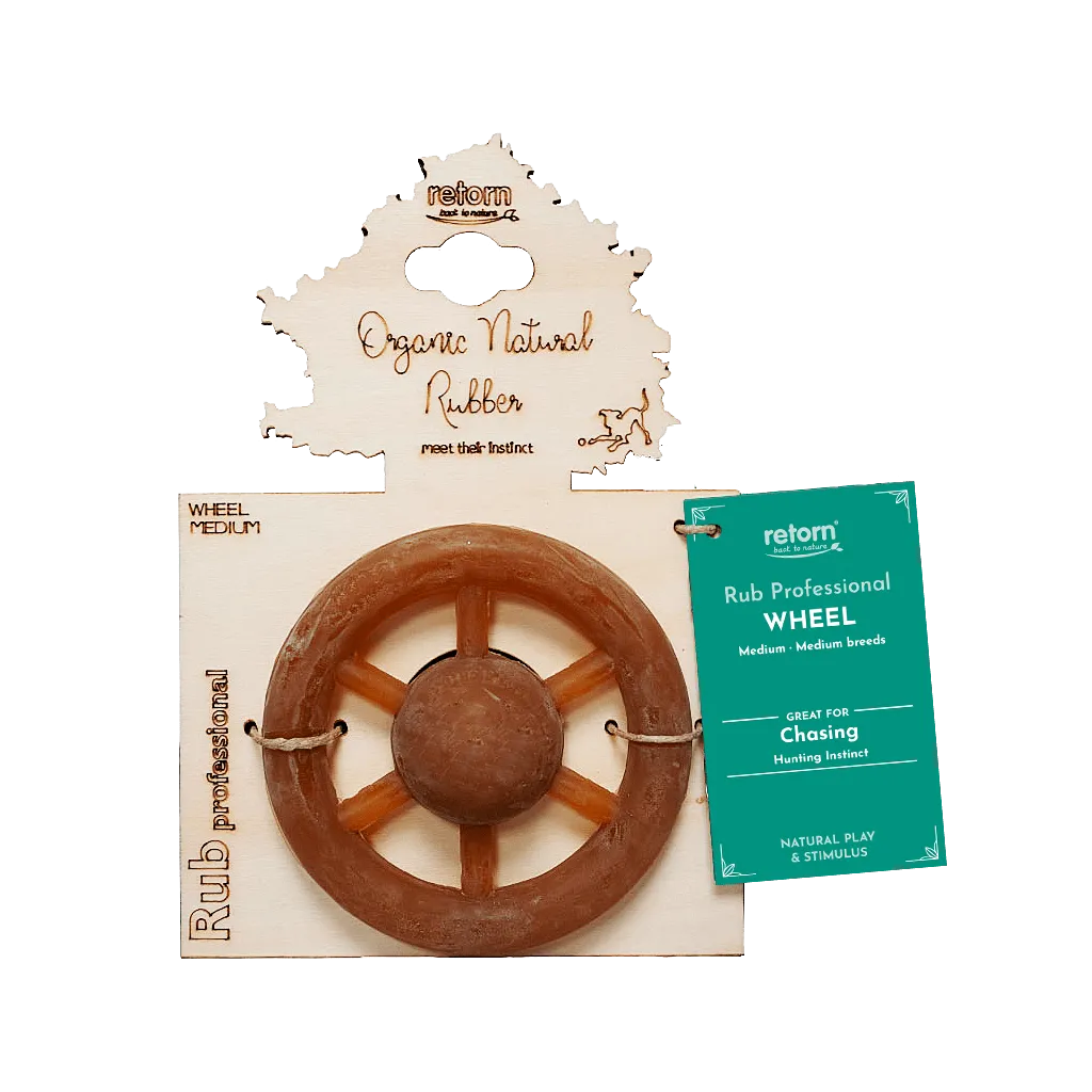 WHEEL_M_4d8d10c8-4020-4218-9753-195d11ace209-690534.webp
