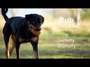 youtube - [Video]