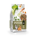 PUUR CONEJOS ENANOS