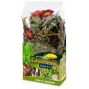 JR GRAINLESS PLUS SALVIA Y DIENTE LEON 100 GR