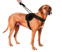 JOCKEY HARNESS LONG LEASH XXL BLACK
